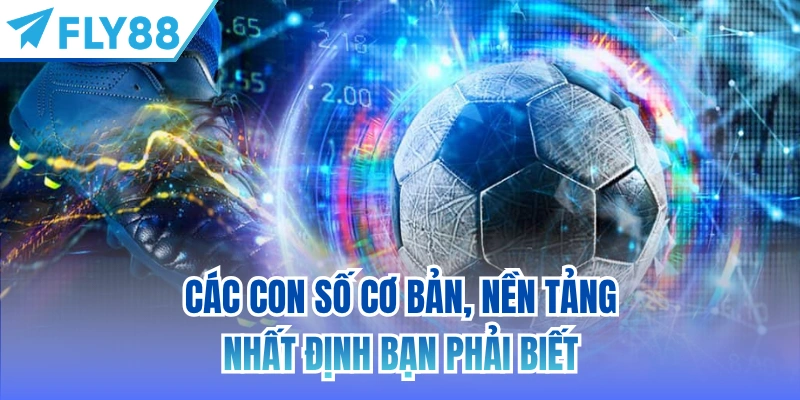 Các con số cơ bản, nền tảng nhất định bạn phải biết
