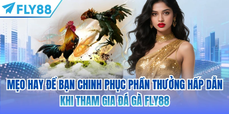 Mẹo hay để bạn chinh phục phần thưởng hấp dẫn khi tham gia đá gà FLY88